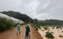 Đã cứu được 2 du khách giữa dòng lũ, 2 người vẫn đang mất tích