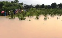 Đắk Lắk: Hơn 100 hộ dân bị cô lập do ngập lụt