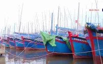 Bình Định kêu gọi tàu thuyền tránh bão số 10
