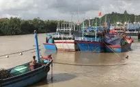 Ứng phó bão số 10, Phú Yên cấm biển từ 9h hôm nay (4/11)
