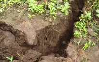 Xuất hiện vết nứt mới đe dọa 8 hộ dân ở Trà Bồng, Quảng Ngãi