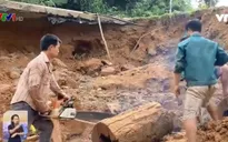 Nguy cơ tai nạn do vớt gỗ trên sông suối sau lũ