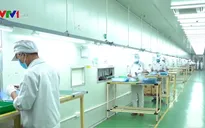 Nhiều doanh nghiệp đón tín hiệu phục hồi khả quan