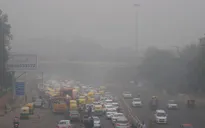 Ngày có chất lượng không khí độc hại nhất trong năm tại New Delhi
