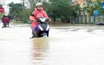 Hơn 800 hộ dân ở thị xã Đức Phổ (Quảng Ngãi) bị nước lũ cô lập