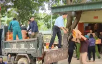 Hiệu quả của đội phòng chống thiên tai cơ sở
