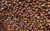 Chiêu trò “phù phép” hàng Trung Quốc thành đặc sản Việt giá rẻ bèo