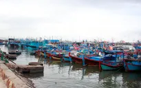 Nam Trung Bộ chủ động ứng phó bão số 12