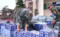 Thu giữ gần 50.000 gói thuốc lá lậu từ Campuchia vào Việt Nam