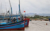Bão số 12 tăng cấp, cách bờ biển từ Bình Định đến Ninh Thuận khoảng 290km
