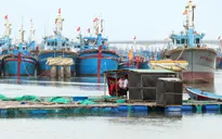 Ứng phó với bão số 12, nhiều tỉnh thành cấm biển