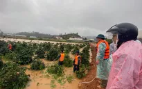 Rà soát toàn bộ hiện trường, mở rộng khu vực tìm kiếm các du khách bị lũ cuốn trôi