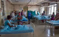 Thuốc trừ sâu là nguyên nhân khiến 600 người mắc bệnh lạ ở Ấn Độ