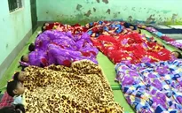 Các địa phương vùng cao tập trung chống rét đậm, rét hại