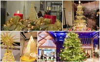 Ngắm những cây thông Noel bằng vàng xa xỉ