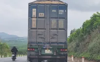 Xử nghiêm xe đầu kéo tự ý cắt nóc container chở quá tải
