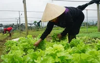 EVFTA: Không có cơ hội nếu không hiểu luật chơi