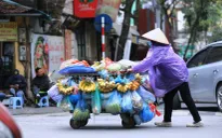 Đỉnh điểm đợt rét đậm, rét hại đầu tiên, có nơi chỉ còn 1 độ C