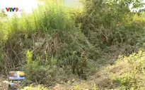 Gia tăng tình trạng nhập cảnh trái phép cuối năm.