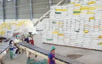 EAEU dành 10.000 tấn gạo hạn ngạch thuế quan cho Việt Nam năm 2021