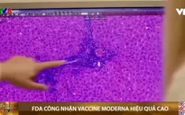 FDA công nhận vaccine Moderna hiệu quả cao