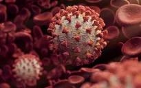 Vaccine COVID-19 đáp ứng được tất cả các biến chủng virus