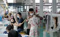 OECD: Kinh tế toàn cầu có hy vọng tươi sáng hơn