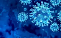 WHO theo dõi sát biến thể mới của virus SARS-CoV-2 tại Anh