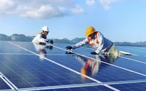 Năm 2020 - năm tăng tốc cho phát triển năng lượng tái tạo