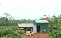 Biên phòng tăng cường phòng chống nhập cảnh trái phép qua biên giới