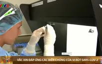 Vaccine COVID-19 đáp ứng với tất cả biến chủng virus