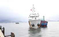 Cứu nạn tàu cá và 3 ngư dân gặp nạn trên biển