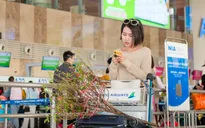 Hàng không tấp nập nhận chuyển mai, đào Tết