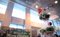 VTV Christmas go Green - Lung linh sắc màu Giáng sinh tại Đài Truyền hình Việt Nam