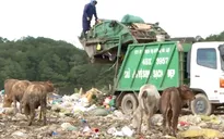 Bãi rác quá tải, ô nhiễm nghiêm trọng lại "gánh" thêm nguy cơ sạt lở