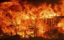 Cháy rừng hoành hành tại California, hàng nghìn người phải sơ tán