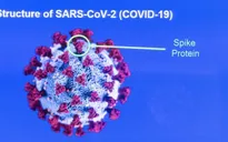 Kịch tính cuộc đua giữa vaccine COVID-19 và hàng nghìn biến thể SARS-CoV-2
