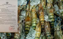 Lào cấm nhập hải sản Thái Lan do lo ngại dịch COVID-19