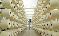 Kinh tế Việt Nam có tốc độ tăng trưởng tốt nhất thế giới