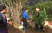 “Dân vận khéo” tăng cường mối quan hệ mật thiết giữa Đảng với dân