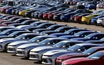 Ô tô nhập giá hơn 400 triệu đồng/xe ùn ùn vào Việt Nam