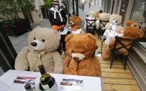 Ế ẩm vì COVID-19, nhà hàng ở Pháp thay thực khách bằng gấu Teddy