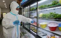 TP.Hồ Chí Minh: Truy tìm virus SARS-CoV-2 trên 100 mẫu bao bì thực phẩm nhập khẩu