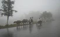 Không khí lạnh tăng cường mạnh, vùng núi rét đậm rét hại