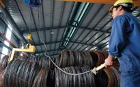 Cần nâng cao hiểu biết về phòng vệ thương mại