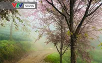 Miền Bắc chính thức bước vào đợt rét đậm, rét hại