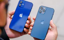 iPhone 12 và 12 mini bất ngờ giảm giá sau một tuần về Việt Nam