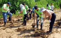 Chỉ 4,2% doanh nghiệp niêm yết công bố chính sách về bảo vệ môi trường