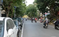 Chặt hạ, di chuyển 40 cây xanh phố Trần Hưng Đạo để thi công ga ngầm Trần Hưng Đạo