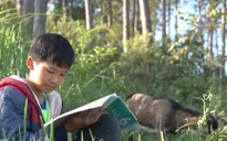 Ước mơ bác sĩ của cậu bé chăn dê hiếu học